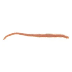 Berkley Gulp Alive 15cm Nerieis Natural 5 Berkley Gulp Alive 15cm Nerieis Natural -Abu Garcia Shop 3e4a8077 58ce 4d99 857c d363f88d388c