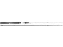 Westin W3 Powercast-T 8'3'' XH 20-80g Spinnspö