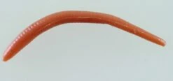 Berkley Gulp Alive Earthworms Brown 6 Berkley Gulp Alive Earthworms Brown -Abu Garcia Shop 503601c5 8d0f 4697 bf1f 4733946797e0