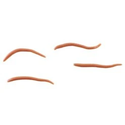 Berkley Gulp Alive Earthworms Brown 7 Berkley Gulp Alive Earthworms Brown -Abu Garcia Shop ba781aa1 6f80 41ba 8f4a 60f3fdee2df0 1