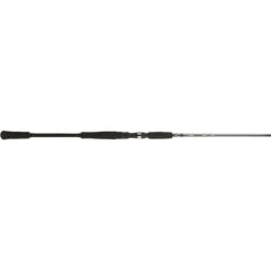 BFT Raptor G2 Pike Multi 8' 240 Cm (8') -100 G Spinnspö
