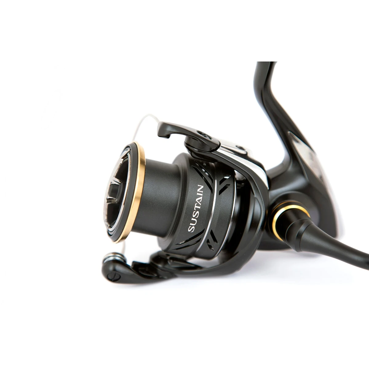 Shimano Sustain FJ 2500 Haspelrulle 5 Shimano Sustain FJ 2500 Haspelrulle - Bild 5