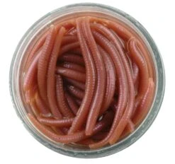 Alternative view of Berkley Gulp Alive Earthworms Brown