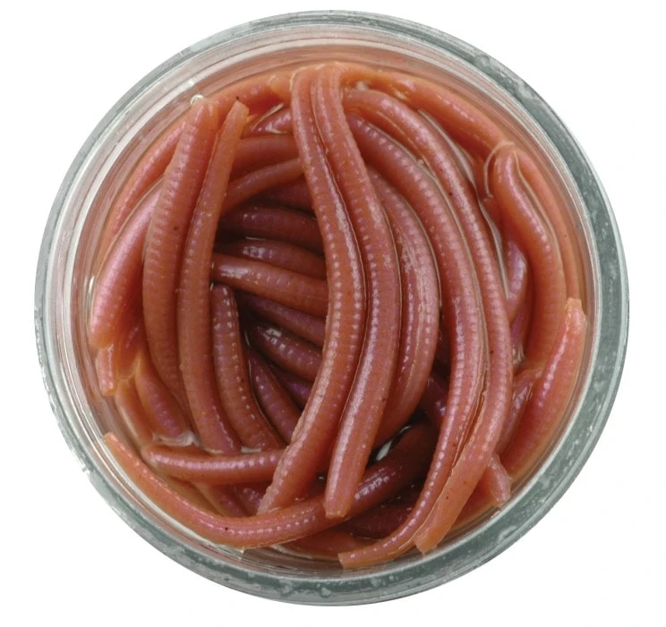 Berkley Gulp Alive Earthworms Brown 2 Berkley Gulp Alive Earthworms Brown - Bild 2